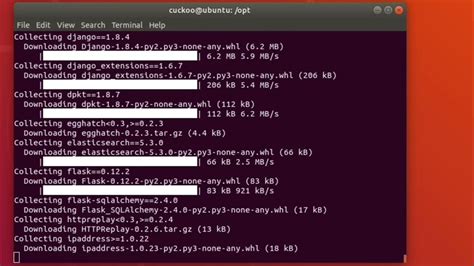 Image result for Python Cockoo Sand Box for Python 3 11