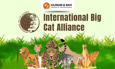 International Big Cat Alliance (IBCA), Launch, Aim, Latest News