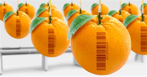 Barcode Scanning Software 的图像结果