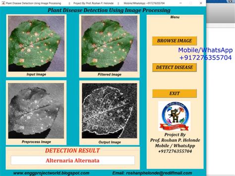 Image result for Plant Disease Detection MATLAB Source Code