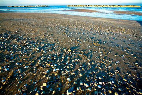 Shells Beaches Around The World | Shells Beaches Sightseeing | TimesTravel