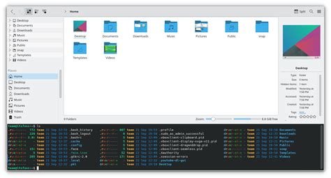 Image result for Dolphin File Browser