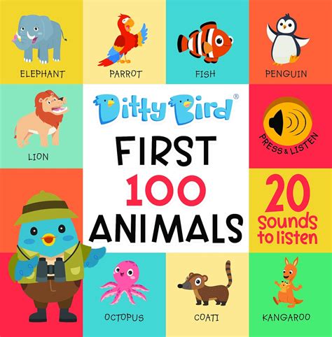 Buy DITTY BIRD Interactive Musical Toy | First 100 Animals for Baby and ...
