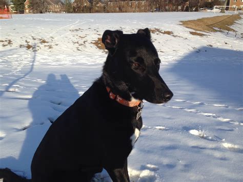 Kilmer Middle School, 8100 Wolftrap Rd, Vienna, VA, Schools ...