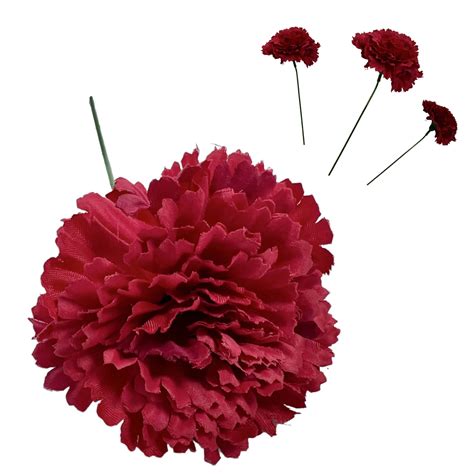 Clavel Flor En Ingles at Harry Stedman blog