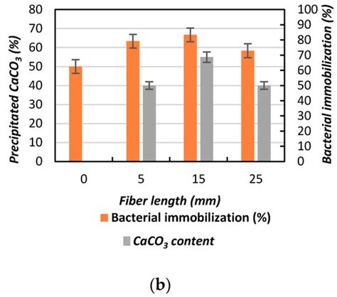 The Influence of the Addition of Plant-Based Natural Fibers (Jute) on ...