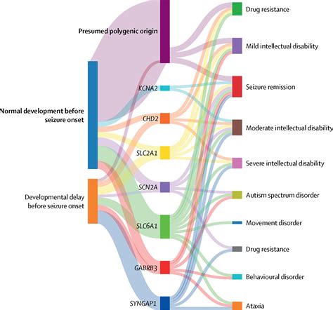 Epilepsy with myoclonic-atonic seizures: an update on genetic causes, nosological limits, and ...