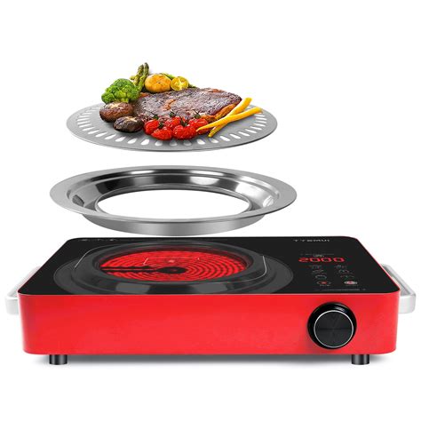 TYEMUI Portable Electric Stove Burner Cooktop for Cooking, 110v Kitchen ...