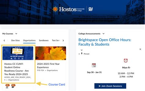 Brightspace Login – Educational Technology