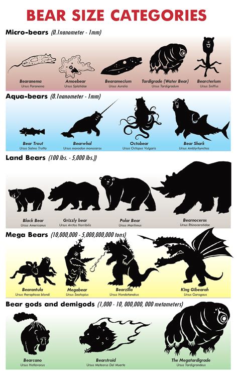 Kodiak Bear Size Chart at Joseph Fraley blog