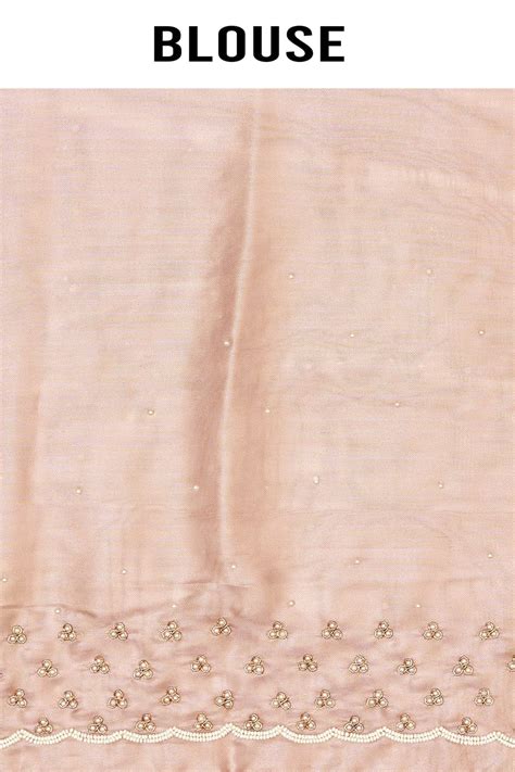Light Pink Tissue Organza Saree – Aparnaa Sarees