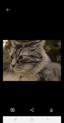 Image result for Mern Stack Developer GIF