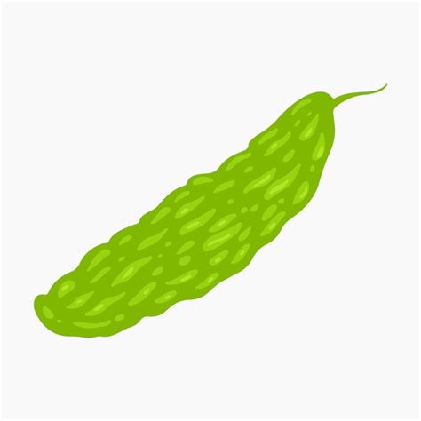 Organic bitter gourd | Premium Vector