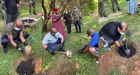 Tree-Planting Day 的图像结果