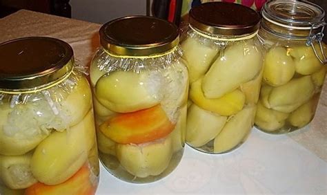 OVAJ RECEPT KORISTIM SVAKE GODINE: Paprika punjena kupusom – Recepti i ...