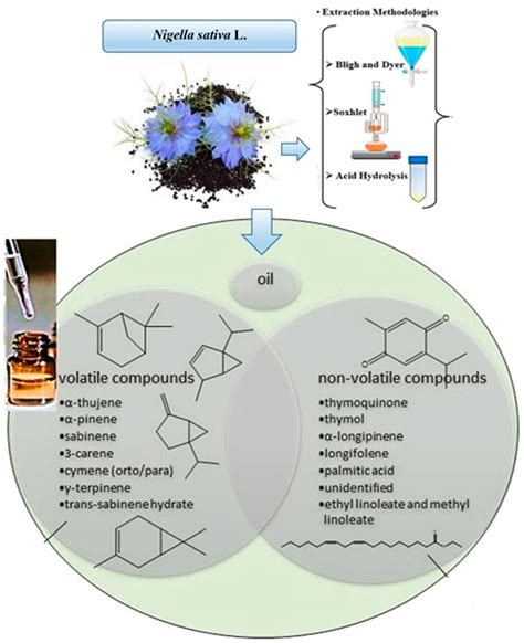 A Narrative Review on Various Oil Extraction Methods, Encapsulation ...