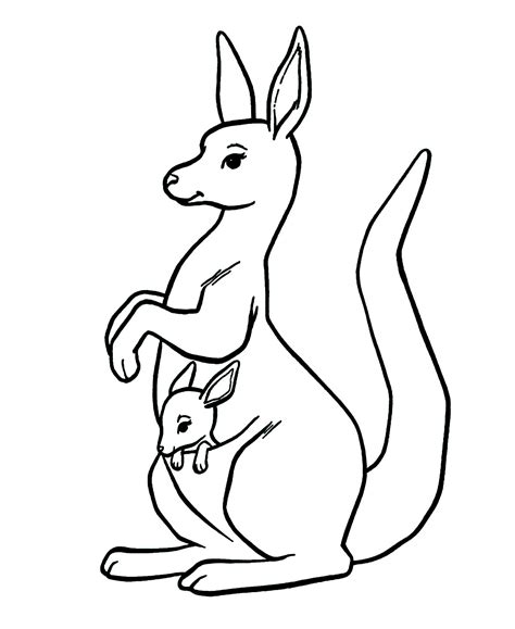 Kangaroo Coloring Pages For Preschoolers Coloring Pages