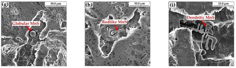 Study on MnS Inclusion Aggregation along Continuous Casting Slab ...