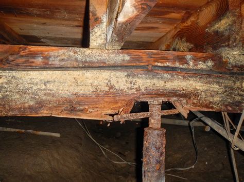 Sagging Floor Joists: Know the Signs - AquaGuard Foundation Solutions