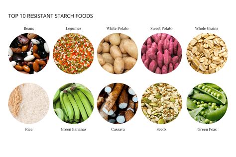 Dietary Fiber Starch at Dollie Guth blog