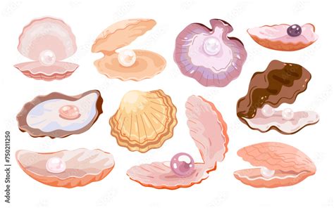 Image result for Open Sea Shell Animation