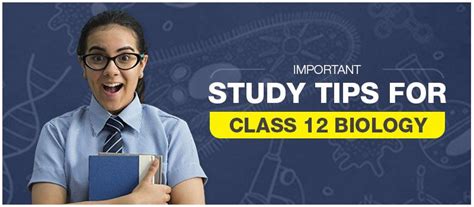 Image result for Class 12 Study
