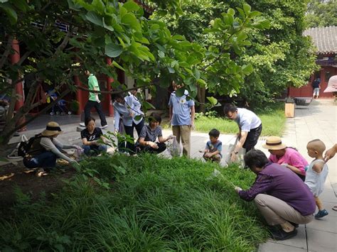 “互联网+全民义务植树”万寿基地开展志愿拔草活动 - 中国公园