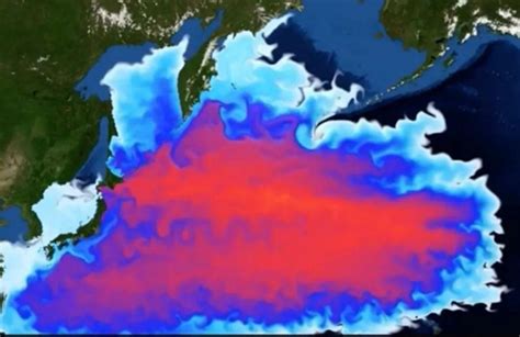 恶心！日本居然把排放核废水演成一场秀！-新闻频道-和讯网