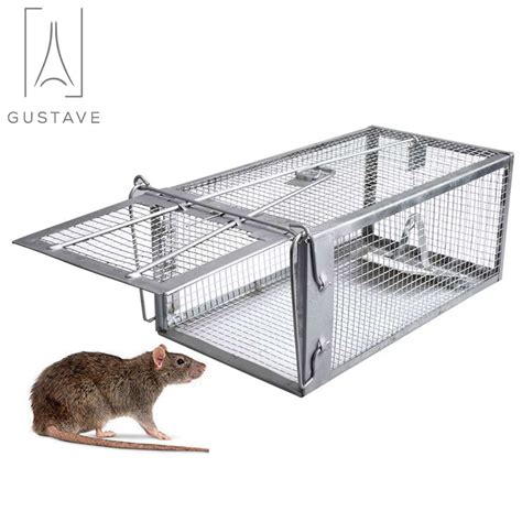Gustave Easy Set Rat Trap Cage, Pet Safe, Small Live Animal Pest Rodent ...