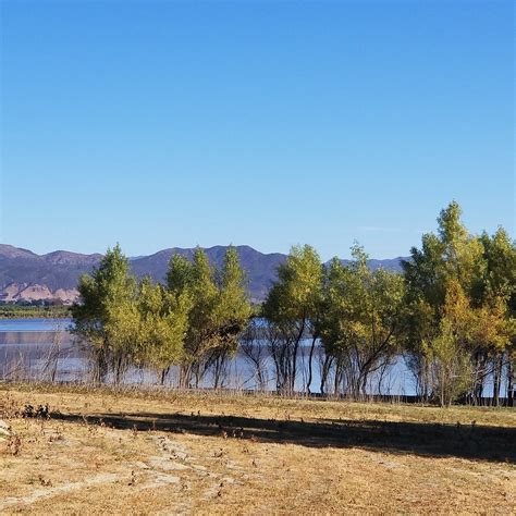 LAKE HENSHAW RESORT - All You Need to Know BEFORE You Go 2026 (with ...