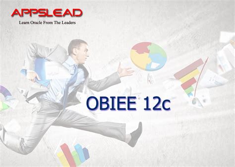 OBIEE 12C Tutorial 的图像结果