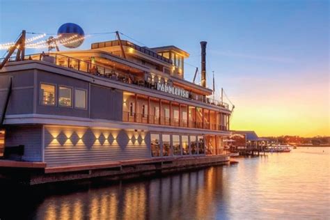 Scuba-Suit-Clad Thief Steals Thousands of Dollars From Floating Disney ...