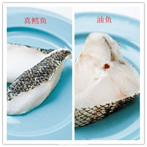 银鳕鱼和油鱼的区别_银鳕鱼和油鱼_淘宝助理