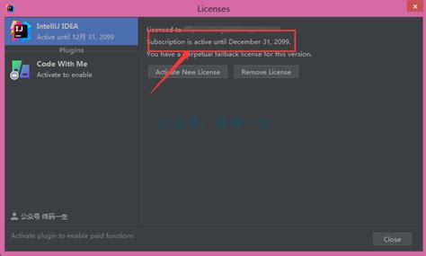 Rezultat imagine pentru IntelliJ IDEA Activation Code