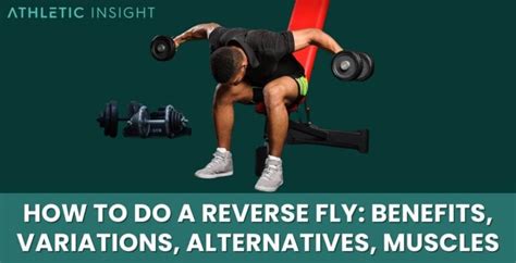 Image result for Reverse Fly Over FitBALL