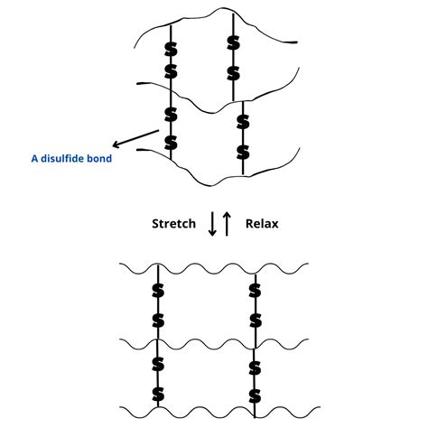What Is Rubber Vulcanization at Adam Ball blog