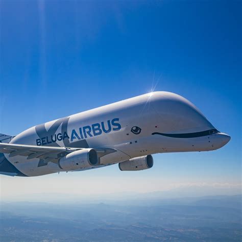 Airbus’ “Flying Whale” Beluga XL Aircraft Enters Service – COOL HUNTING®