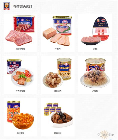 宋好肉肉类企业品牌形象建立_Aone黑脉设计