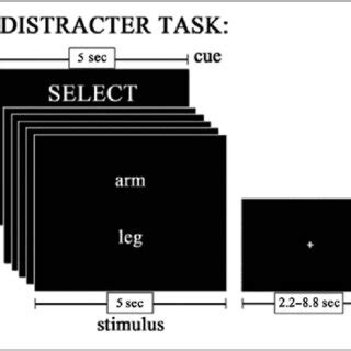 Multiple Object Tracking Task fMRI 的图像结果
