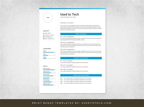 Professional Resume Template For Microsoft Word 493x638