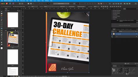 Image result for Affinity Publisher Interactive PDF