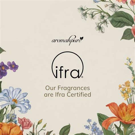 Aromahpure Jasmine Diffuser Set with 6 Fiber Reed Sticks | Jasmine Room ...