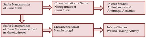 Synthesis and Characterization of Sulfur Nanoparticles of Citrus limon ...