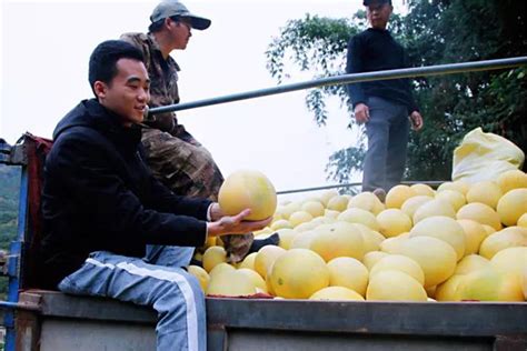 从“嘉”到家，从码农到果农，他是一年卖5000万元柚子的陈宗佑