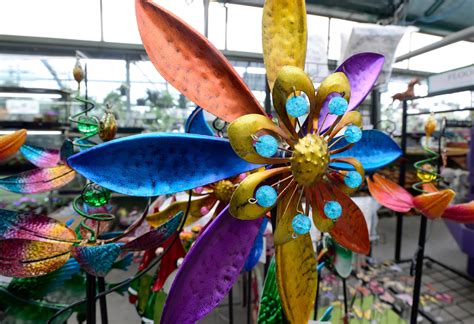 Photos: The Flower Bin in Longmont Celebrates 50-Years – Longmont Times ...