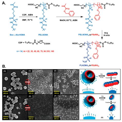 Protein-, (Poly)peptide-, and Amino Acid-Based Nanostructures Prepared ...
