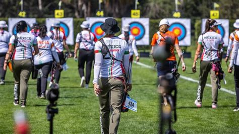 La selección de flechas: un componente crucial del tiro con arco