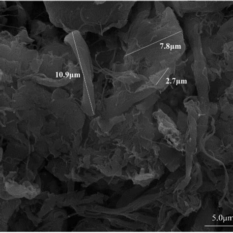 Image result for ADM Thread