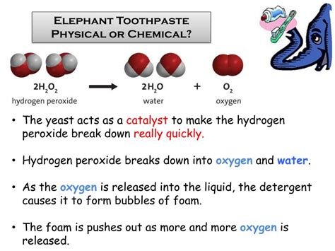 Elephant Toothpaste Reaction Explained 的图像结果