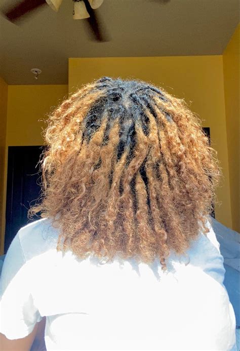 Image result for Locs Over Everything